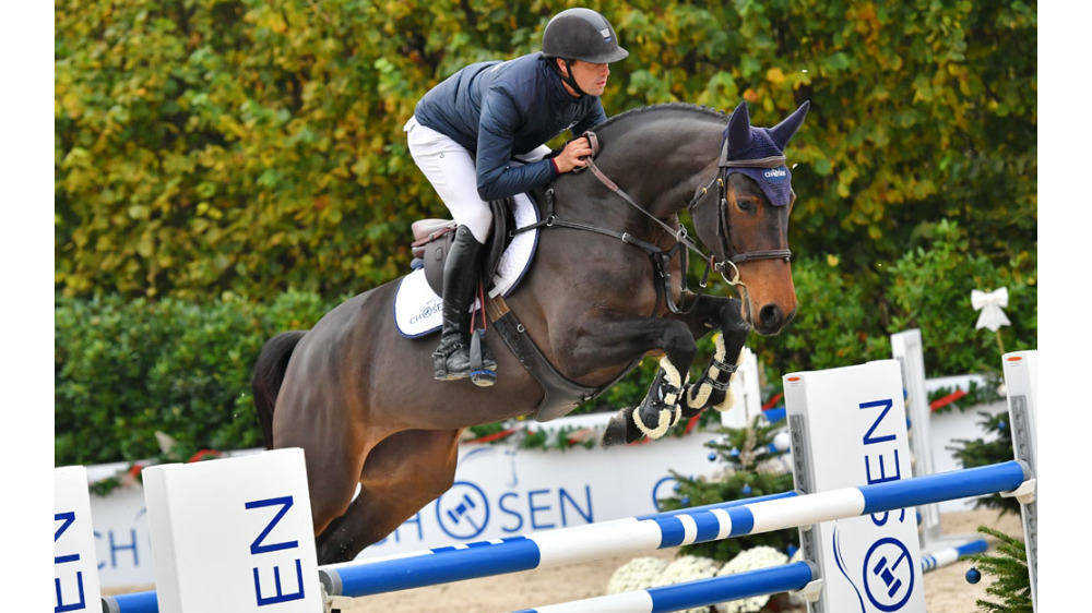 American Pie Tiji Z — Mare · 10y