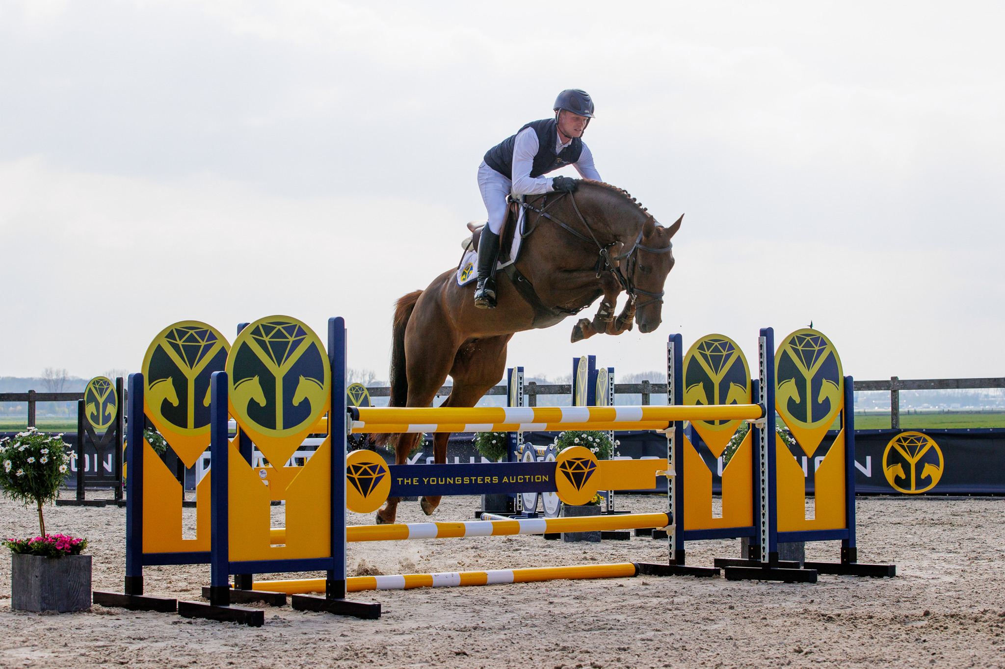 2023 The Youngsters Auction 5 to 7 year old showjumpers