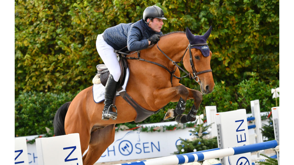 Carlito Z — Gelding · 10y
