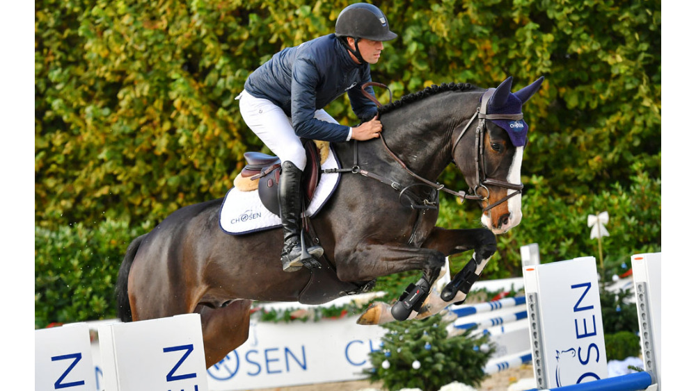Hollywood Des Flagues — Gelding · 9y