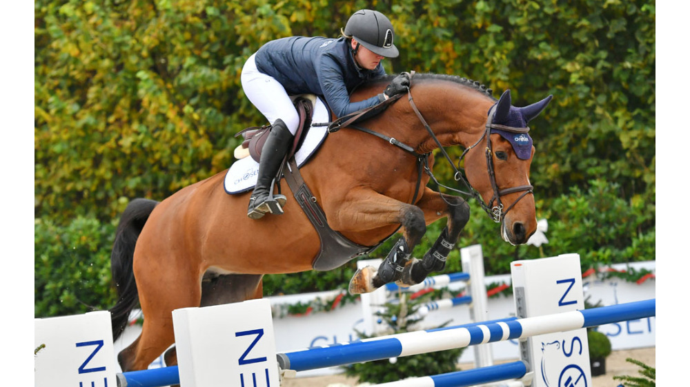 Noriana Van Klapscheut — BWP · Mare · 13y