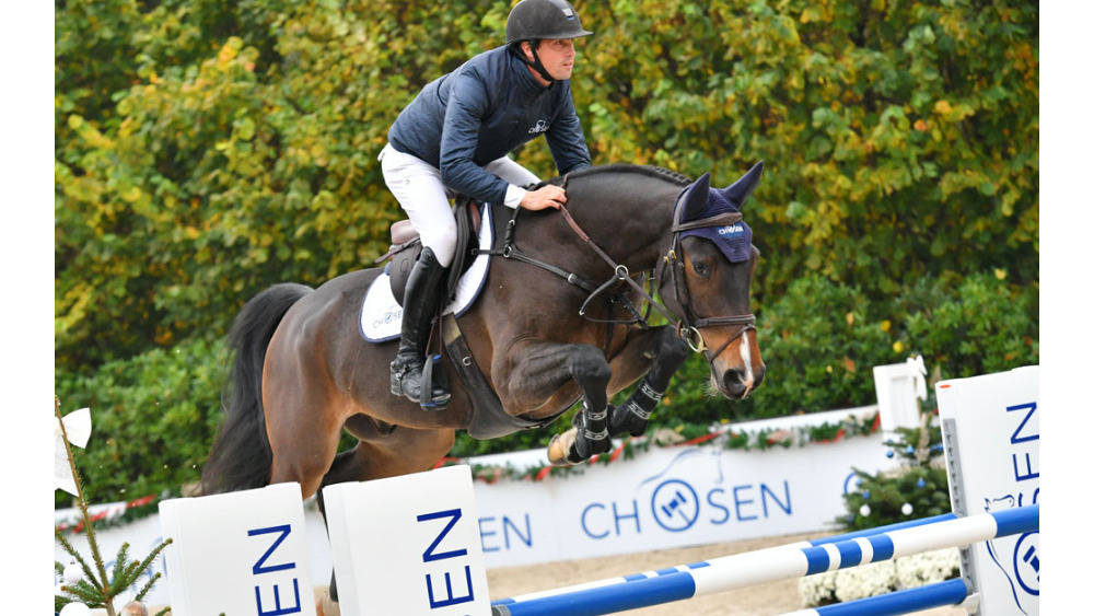 H To H Bliniere — Gelding · 9y