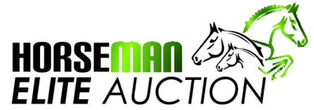 Horseman Elite Auction