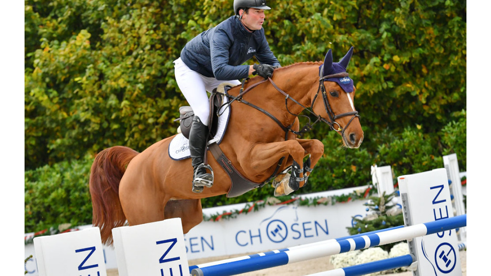 Lanna Paulowna VG — KWPN · Mare · 10y