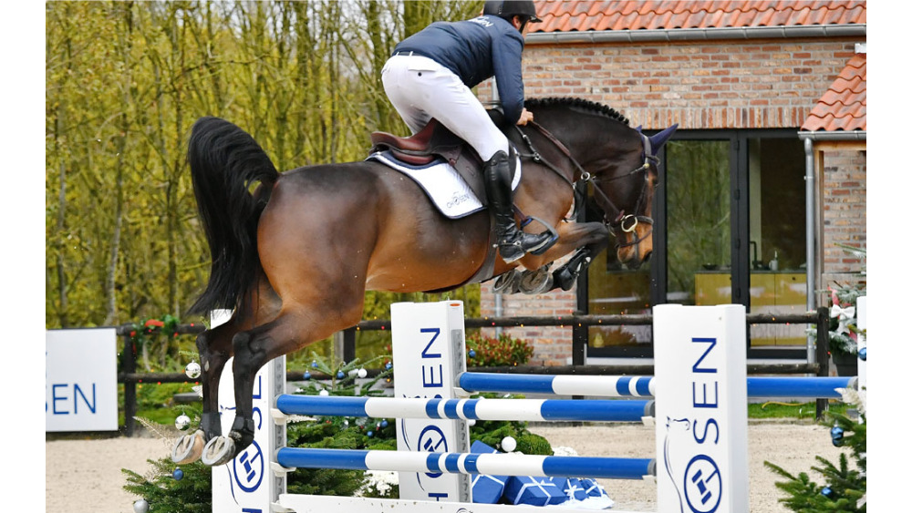 Lislan Diarado — ISH · Gelding · 10y