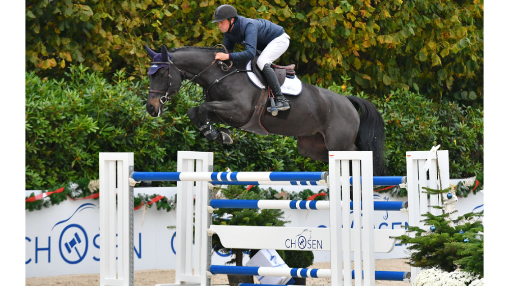 Dame Bruchetta — ZANG · Mare · 11y