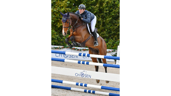 Quality — Gelding · 11y