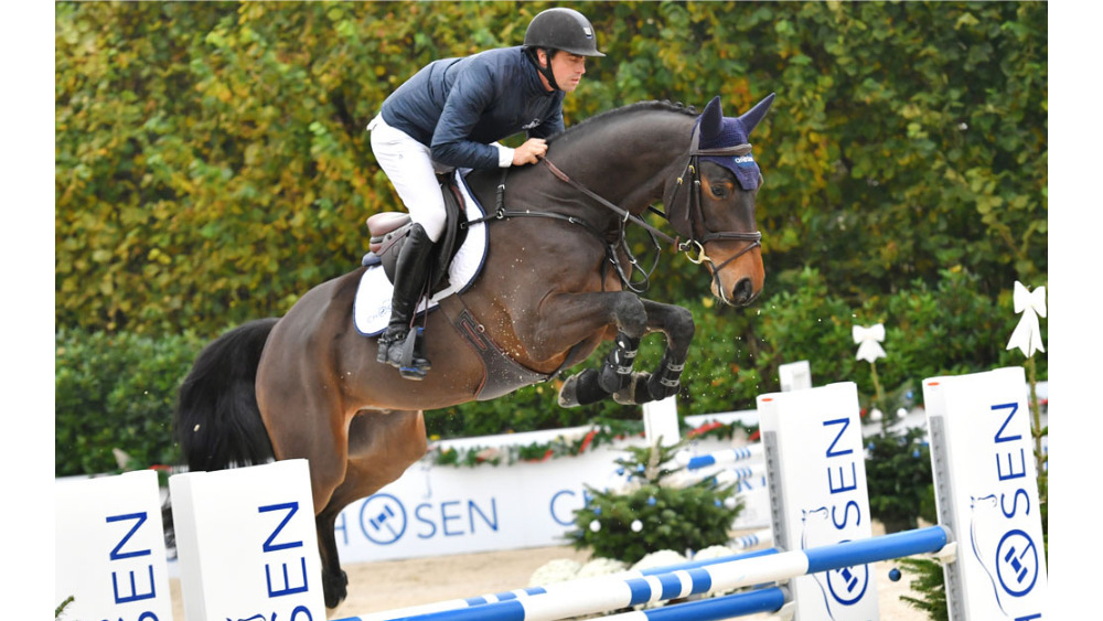 Casalando — OS · Gelding · 9y