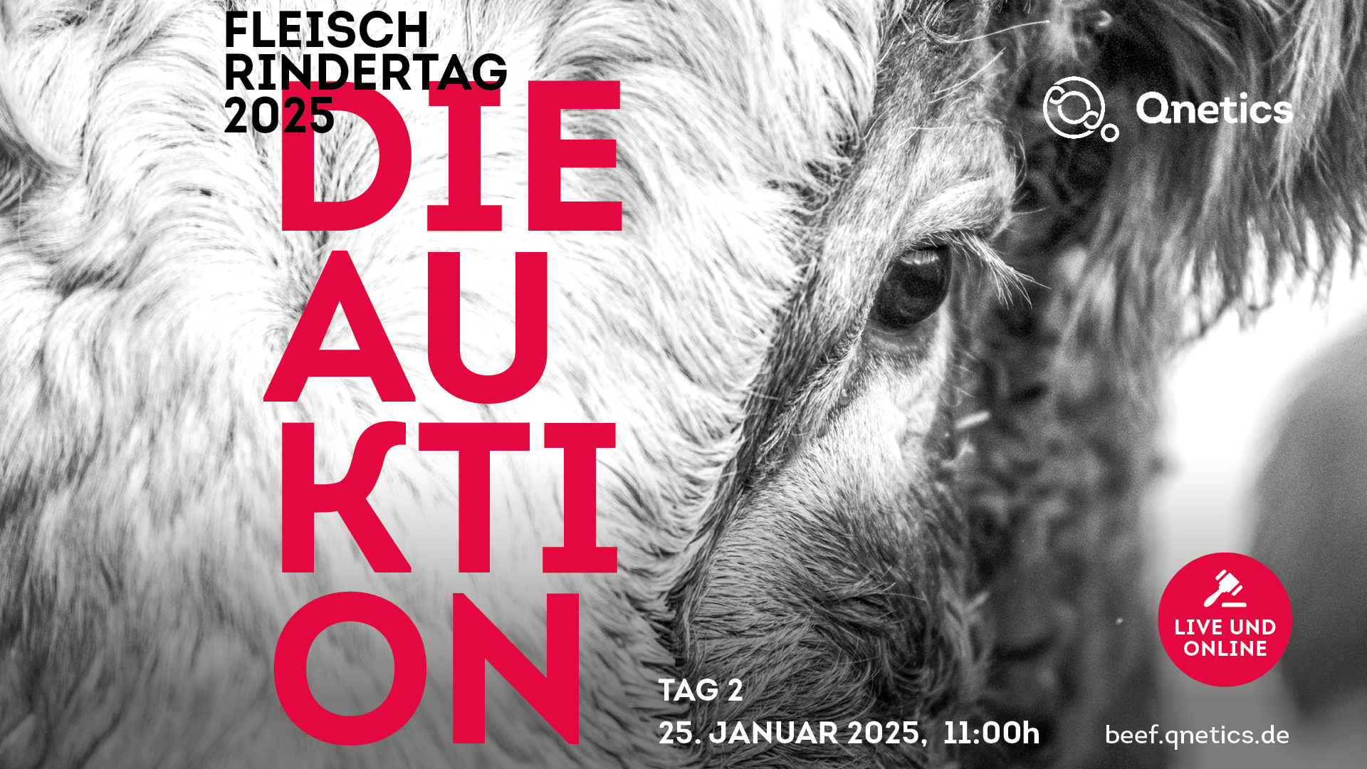 Pre-Bidding - Angus, weitere Rassen und Limousin - Finale is Samstag, 25. Januar 2025 11:00h